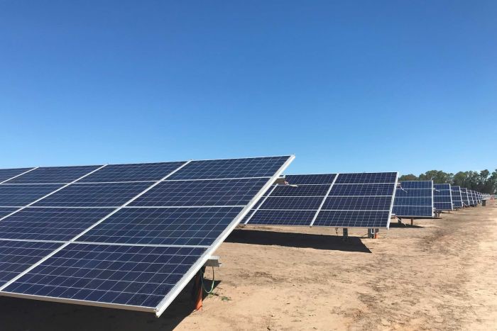 新南威爾斯州北部太陽能專案啟動